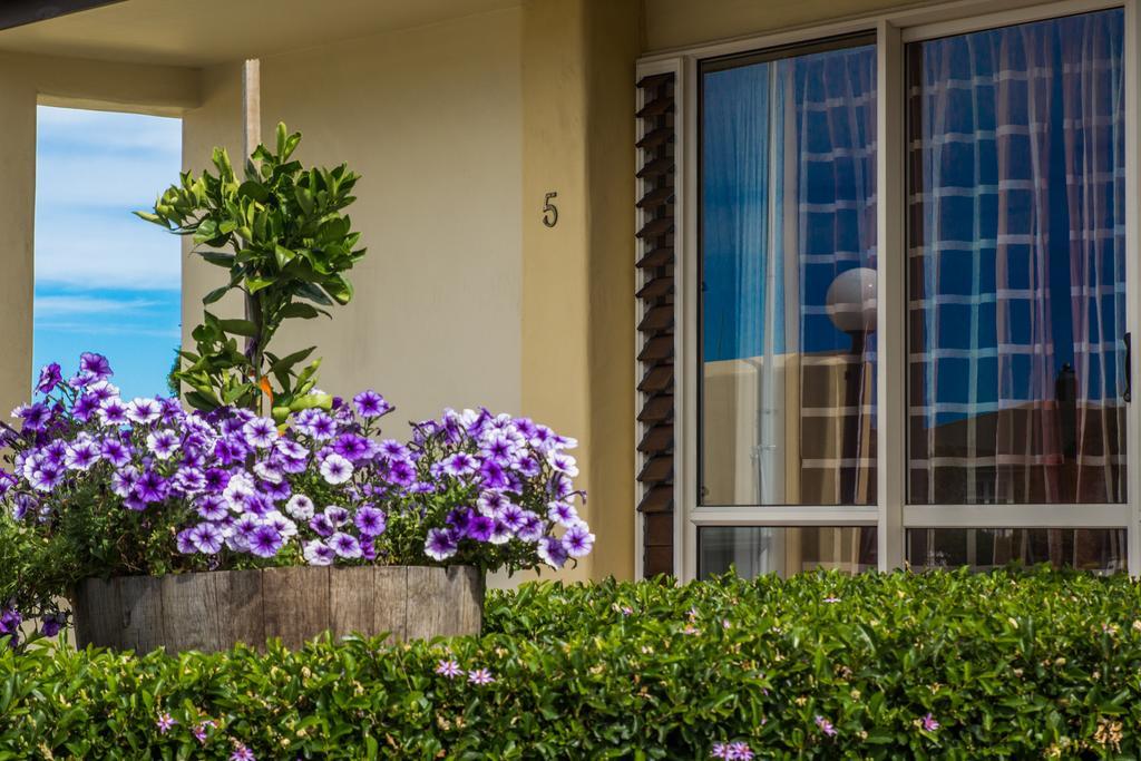 Bella Tuscany Motor Lodge Napier Luaran gambar
